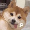 xlilyhu