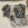 marleysdrawings1