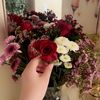 isra_a86