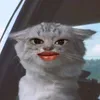 nattqyz