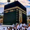 shanb776