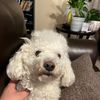 elliott_thegamer