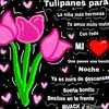criztalrosas