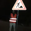 sandroimg