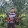 pg.hardika12