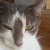 corinna.287