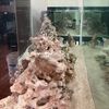 pryoritysreef