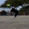 aussie.mix.payson
