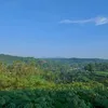muhammadfitraab