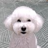 user8741818017062