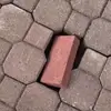 baraqmitembo2