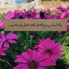 3nsma_