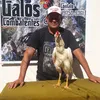 geraldoreginaldo