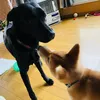 yuki_4170