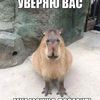 smachnai_bebra2