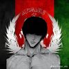 shirzad.sartibzada