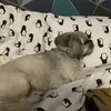 finn.spooner