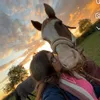 xequine.tiax