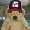 emythepro