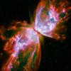 nebulabutterfly7_
