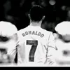 _cris_best7