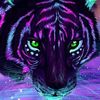 user5421653061653