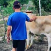 fabianodossanto322