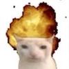 bingusbort