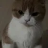 _lautyy45