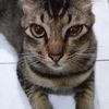 user8529028435516elok