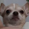 0.m.._..m.0