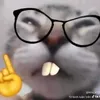 boobo_p