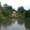 septianawid
