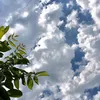muhannadabdullahalduwai0