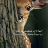 _bhaar_