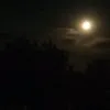 yurkashatunov_1