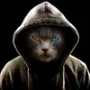 felixgerman3