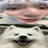 ocyeaan
