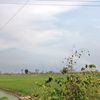 aji.riswanto