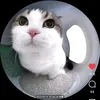 cating_u