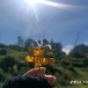 karinaledesma36
