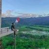 jun_idin11