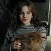 lovsromione