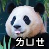 userm9kjiixuwj
