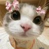liyaslq_