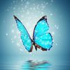 olfat.mohamed915
