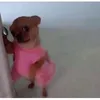 danzso.l
