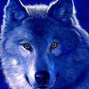 joelalexander031
