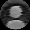 sh.h.06