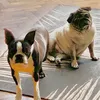 Diaries of Betty and George